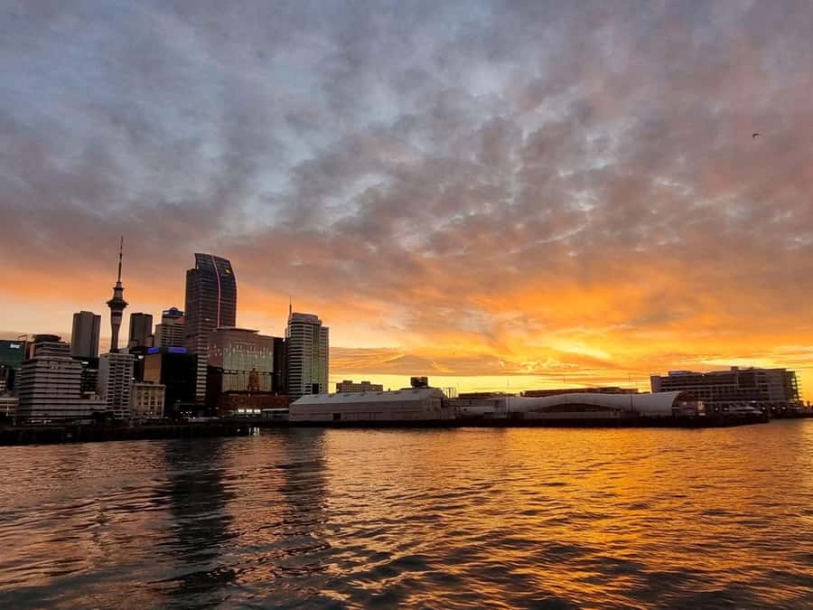 Auckland Sunset Harbour Cruise - Key things you will notice on board