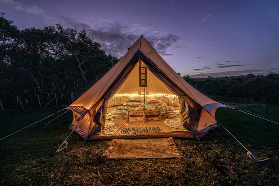 Auckland (Tawharanui): Wild Kiwi Bird Spotting Encounter - Tawharanui Regional Park, Auckland’s best nighttime classroom