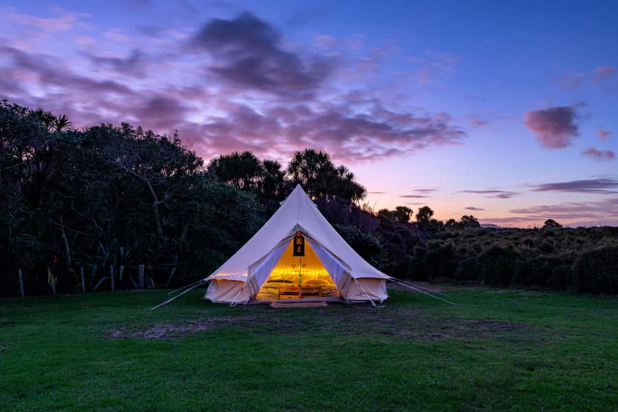 Auckland (Tawharanui): Wild Kiwi Bird Spotting Encounter - Stargazing over a dark-sky coast: stars, planets, and Māori stories