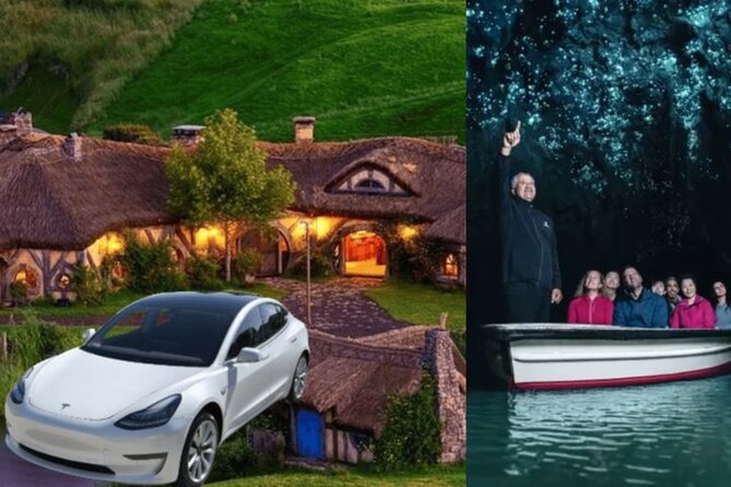 Auckland: Tikapa Moana Dolphin, Whale and Island Cruise - Waiheke Island stop: Rotoroa Island walks vs Man O’ War Vineyards time