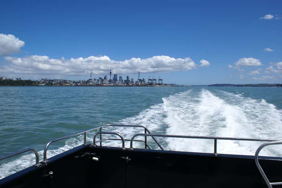 Auckland: Tikapa Moana Whales, Dolphins and Islands Cruise - Rotoroa Island stop: a short walk break with big views