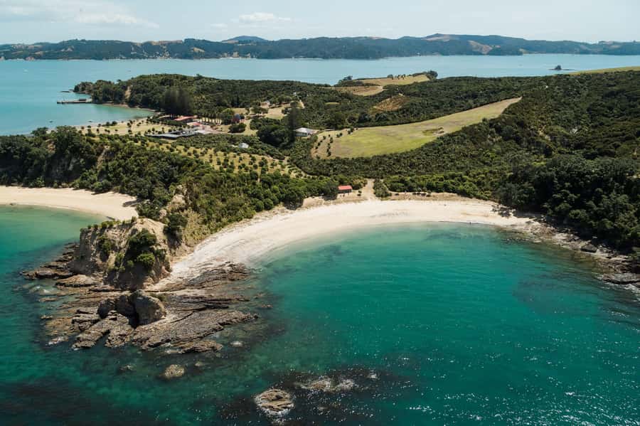 Auckland: Tikapa Moana Whales, Dolphins and Islands Cruise - Man O’ War Vineyards on Waiheke: wine and swim time, with timing tradeoffs