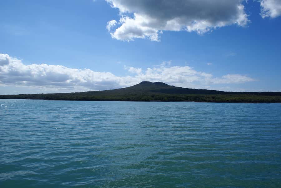Auckland: Tikapa Moana Whales, Dolphins and Islands Cruise - What the live commentary focuses on: conservation and Ngāi Tai connections