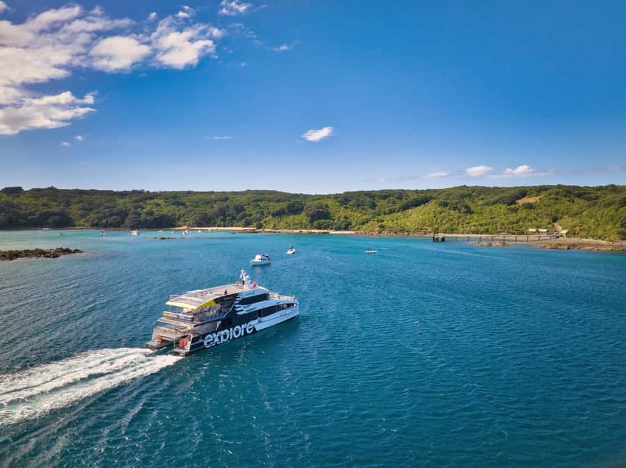 Auckland: Tiritiri Matangi Island Ferry - Ferry to Tiritiri Matangi: the Hauraki Gulf part you should not rush