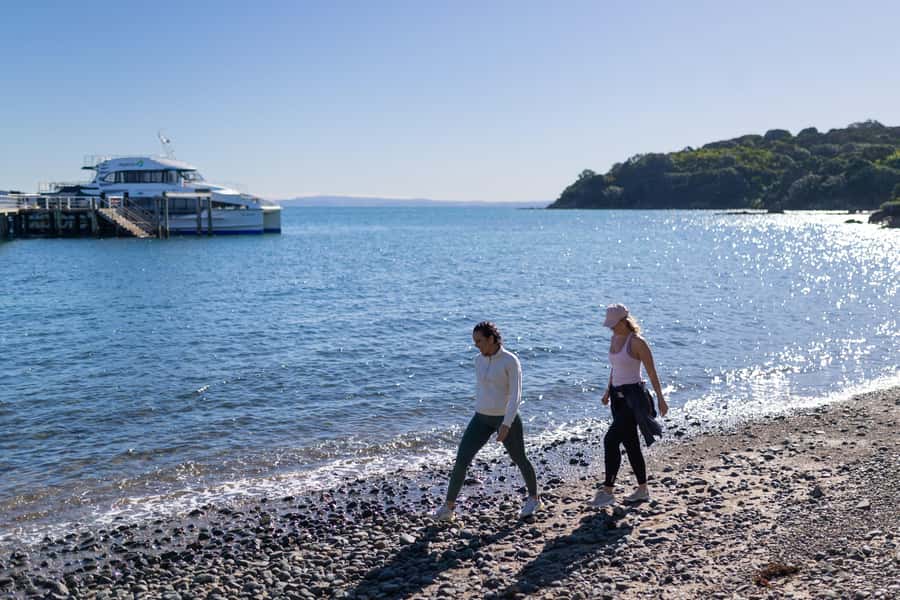 Auckland: Tiritiri Matangi Island Ferry - The lighthouse walk: New Zealand’s oldest working beacon