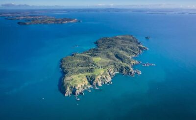 Tiritiri Matangi Island Ferry