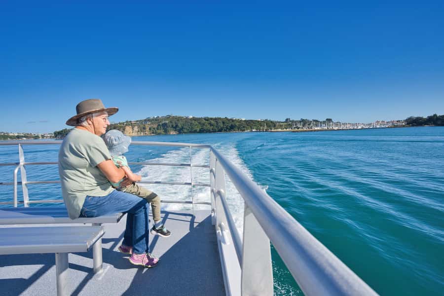 Auckland: Tiritiri Matangi Island Ferry - Beaches for a swim or snorkel: quiet sand, simple timing, and the gear you need