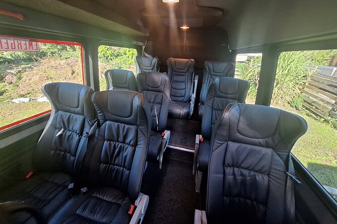 Auckland to Paihia via West Coast Small Group Tour (One Way) - Practical tips for a smooth day on the road