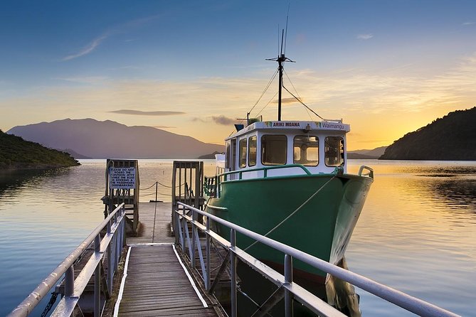 Auckland to Rotorua Private Tour - Private Mercedes, Real Schedule Control (Auckland to Rotorua in 10 Hours)