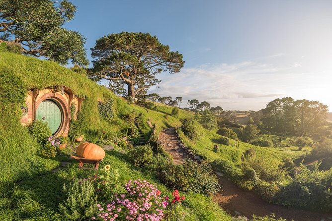 Auckland to Rotorua via Hobbiton Small Group Tour (One Way) - Price and value: is $204.17 a good deal?
