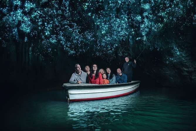Auckland to Rotorua via Waitomo Caves Small Group Tour (One Way) - Key highlights that make this tour work