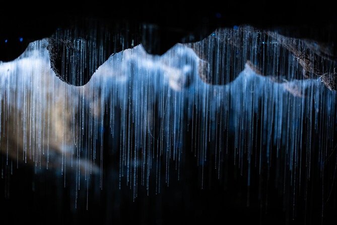 Auckland to Rotorua via Waitomo Caves Small Group Tour (One Way) - Waitomo Glowworm Caves: guided timing, cave formations, and the photo ban
