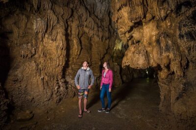 Auckland to Rotorua via Waitomo Caves Small Group Tour (One Way)