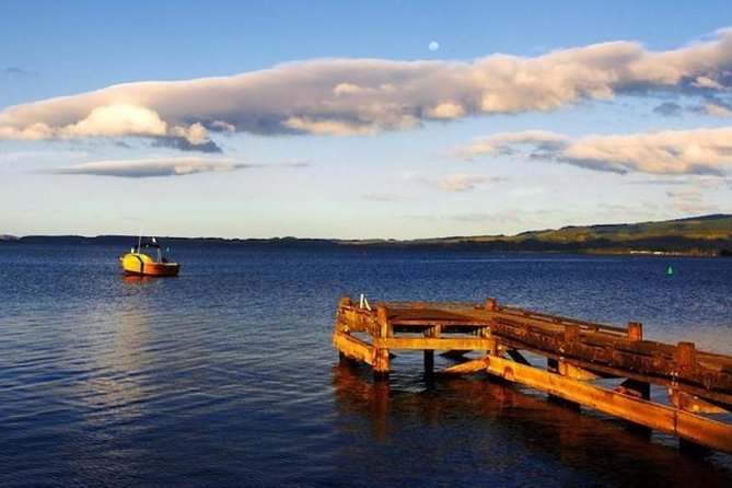 Auckland to Rotorua via Waitomo Caves Small Group Tour (One Way) - Guide style on the bus: local stories that make the drive feel useful