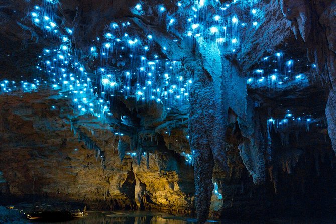Auckland to Waitomo Caves and Hobbiton Movie Set Private Tour - Waitomo Glowworm Caves: the glowworm boat cruise portion