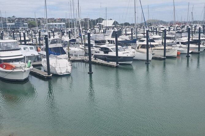 Auckland Town and Country Delights Tour - Howick and Cockle Bay, a coastal village feel without the crowds