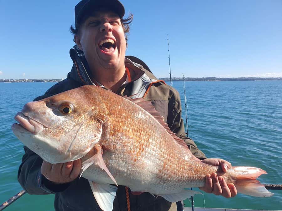 Auckland: Twilight Fishing Charter 5pm - 9:30pm - Key things that matter on this charter