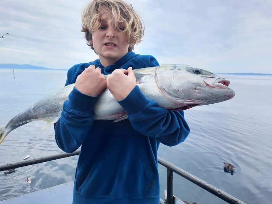 Auckland: Twilight Fishing Charter 5pm - 9:30pm - Your Bait, Chilly Bin, and Dinner Plan (This Makes or Breaks It)