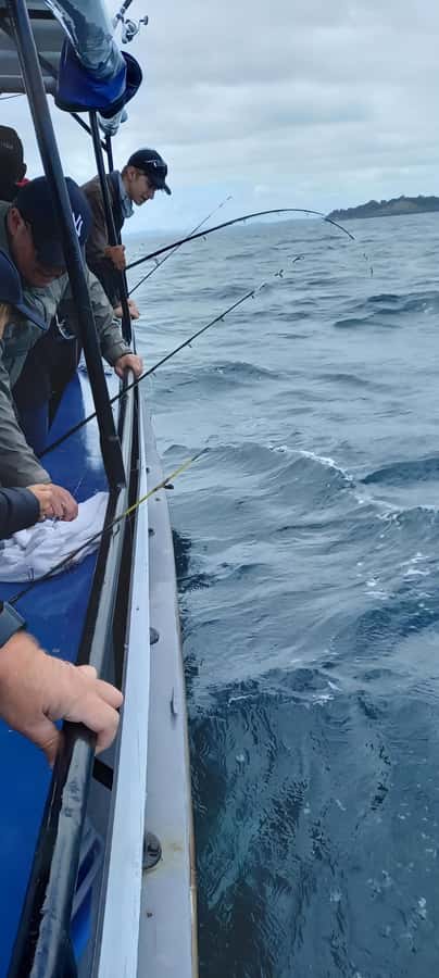 Auckland: Twilight Fishing Charter 5pm - 9:30pm - Timing, Views, and How the Evening Runs