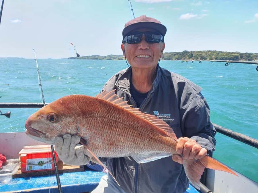 Auckland: Twilight Fishing Charter 5pm - 9:30pm - Should You Book the Red Boats Twilight Fishing Charter?