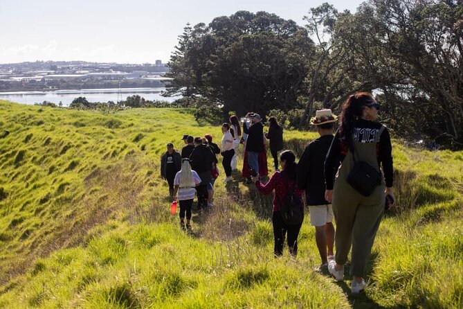 Auckland Urban Māori Experience with Transportation - The 8:30 AM Start and How to Set Yourself Up for the Day