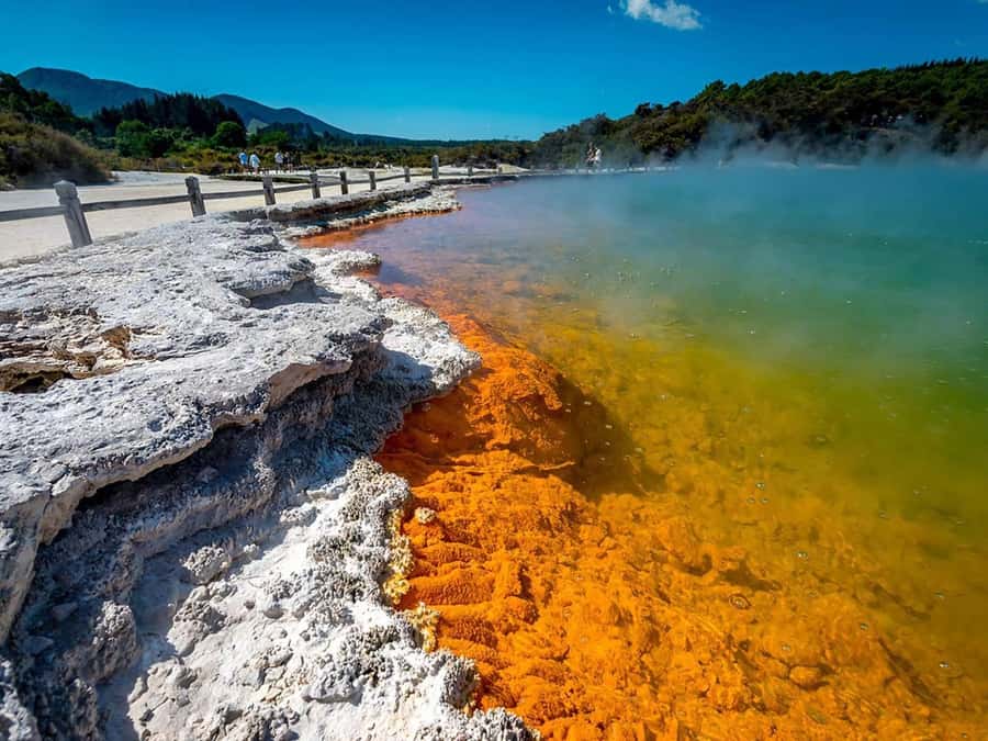 Auckland: Wai-O-Tapu, Maori Haka & Hot Springs Rotorua Tour - Rotorua in One Long Day, and Why It Works