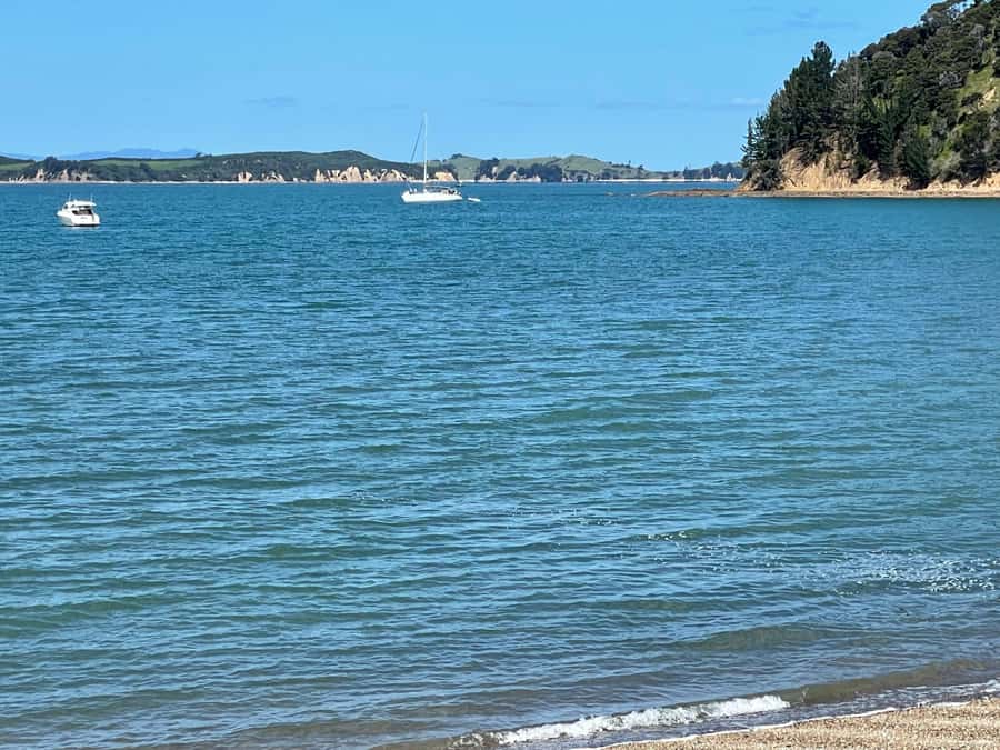Auckland: Waiheke Island Luxury Experience Private Tour - Price and value: what $594 per person buys you