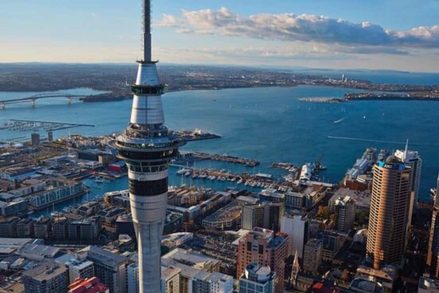 Auckland: Waiheke Island Wine and Food Tasting with Flights - Key things to know before you go