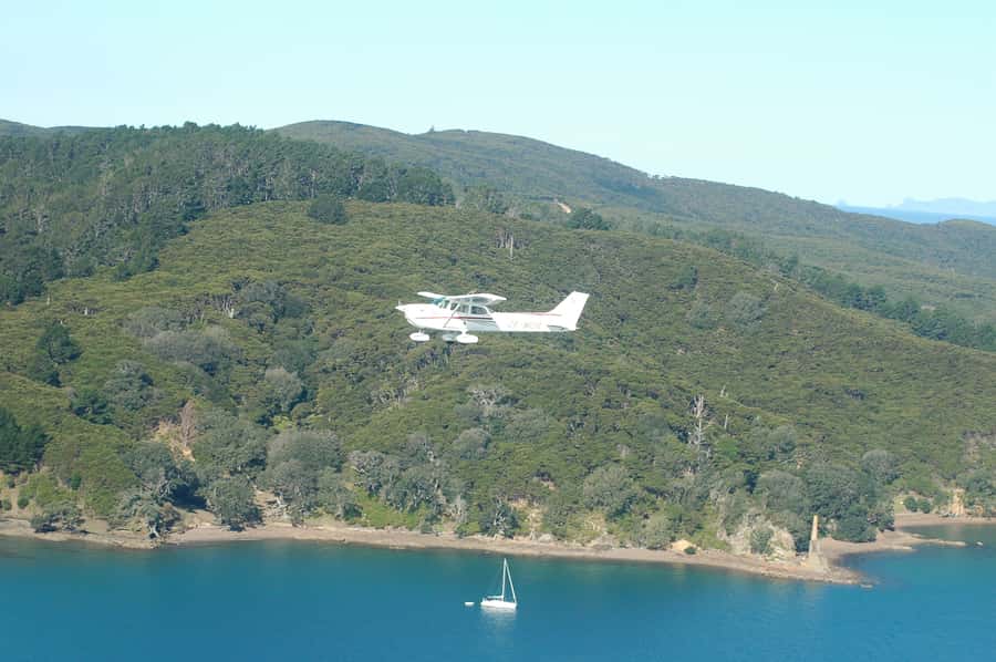 Auckland: Waiheke Island Wine and Food Tasting with Flights - A flight-first Waiheke day, from Auckland to Batch Winery