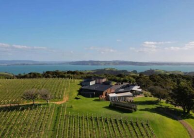 Waiheke Island Wine and Food Tasting with Flights