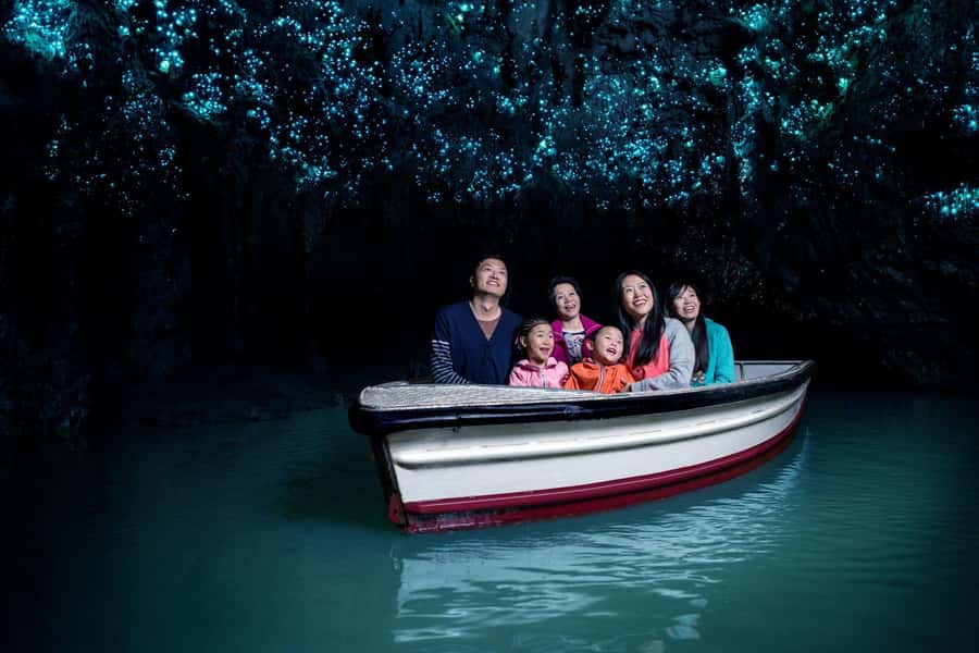 Auckland: Waitomo Caves & Rotorua - Te Puia Small-Group Tour - From Auckland pickup to the Waikato countryside rhythm