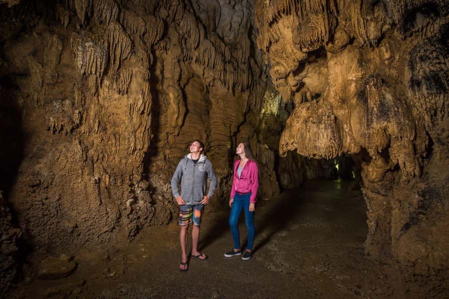 Auckland: Waitomo Caves & Rotorua - Te Puia Small-Group Tour - Price and value: is $244 a good deal for this itinerary?