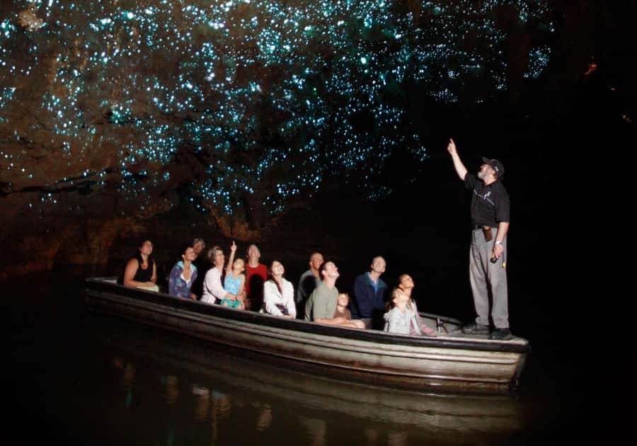 Auckland: Waitomo Caves & Te Puia Rotorua w Picnic Lunch - Kiwi Conservation Centre and Māori Arts and Crafts: learning with your feet on the ground