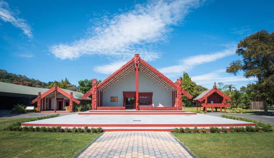 Auckland: Waitomo Caves & Te Puia Rotorua w Picnic Lunch - Auckland pickup and staying on schedule without stress