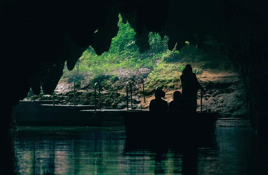 Auckland: Waitomo Caves & Te Puia Rotorua w Picnic Lunch - Who should book this day trip, and who should skip it