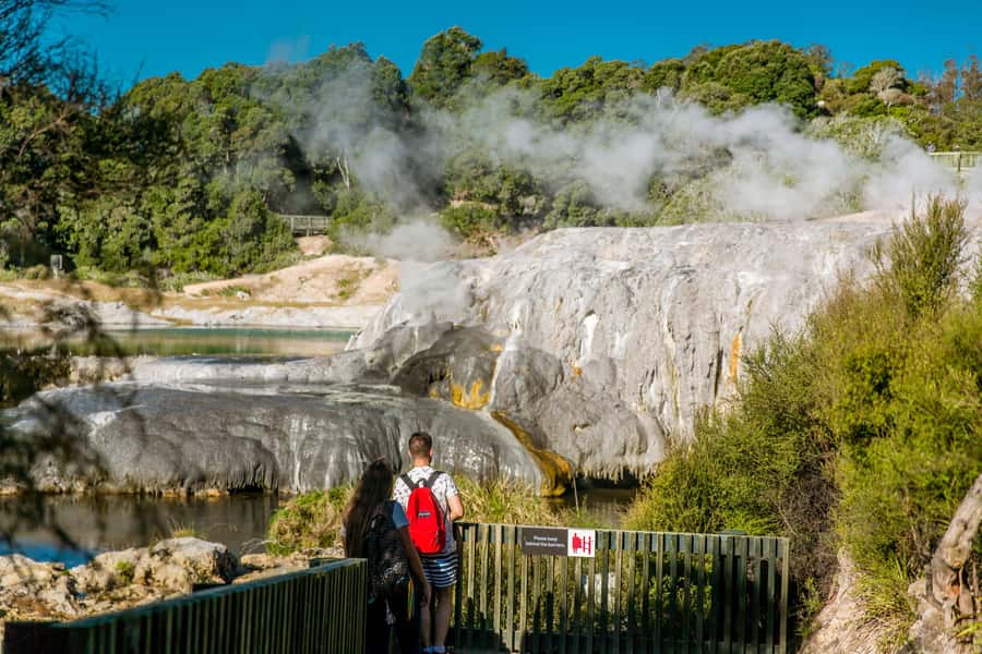 Auckland: Waitomo Caves & Te Puia Rotorua w Picnic Lunch - The Waikato drive time: why the road trip is part of the deal