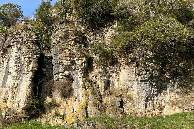 Auckland : Waitomo Spellbound Glow Worm Twin Caves Private Tour - Tea or coffee between caves: a small break that actually helps