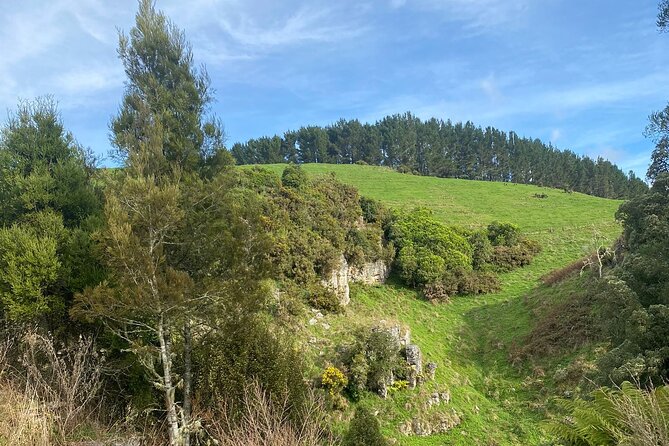 Auckland : Waitomo Spellbound Glow Worm Twin Caves Private Tour - Group size, timing, and why the pace feels better than big tours