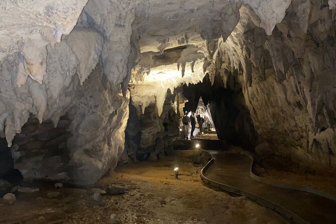 Auckland : Waitomo Spellbound Glow Worm Twin Caves Private Tour - The return to Auckland: making the 3 hours feel worth it
