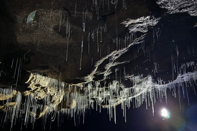 Auckland : Waitomo Spellbound Glow Worm Twin Caves Private Tour - The scenic drive and first stops that set the tone