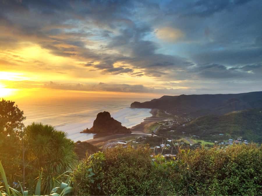Auckland: West Coast Discovery - Key things to know before you go