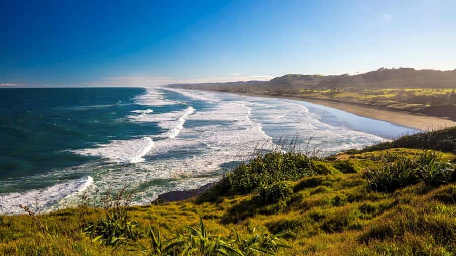 Auckland: West Coast Discovery - Piha Beach and Lion Rock: the West Coast in one hour