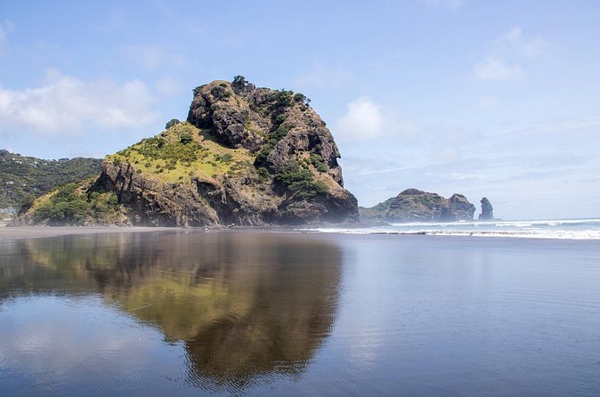 Auckland West Coast Half-Day Private Tour - Who Should Book This West Coast Private Tour, and Who Should Pass