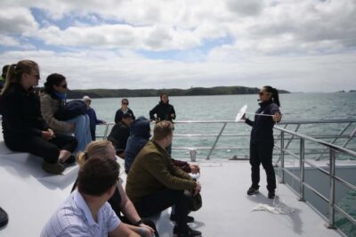 Whale and Dolphin Watching Half-Day Eco Cruise