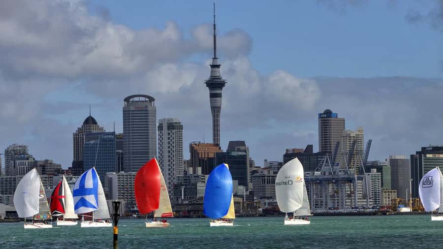 Auckland: Wild West Coast, Black Sand Beaches Tour inc Lunch - From Sky Tower to the North Shore, your day starts with a shortcut