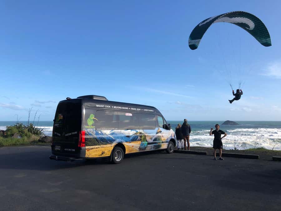 Auckland: Wild West Coast, Black Sand Beaches Tour inc Lunch - The gannet colony viewpoint, close enough to feel the scale