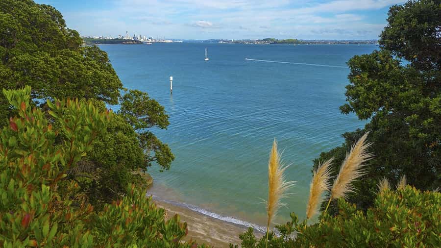 Auckland: Wild West Coast, Black Sand Beaches Tour inc Lunch - North Head volcanic views, plus tunnels for the curious minds