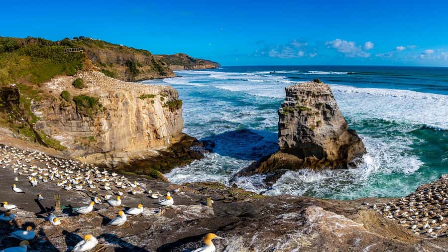 Auckland: Wild West Coast, Black Sand Beaches Tour inc Lunch - Hallertau Brewery lunch is the part that feels easiest to enjoy