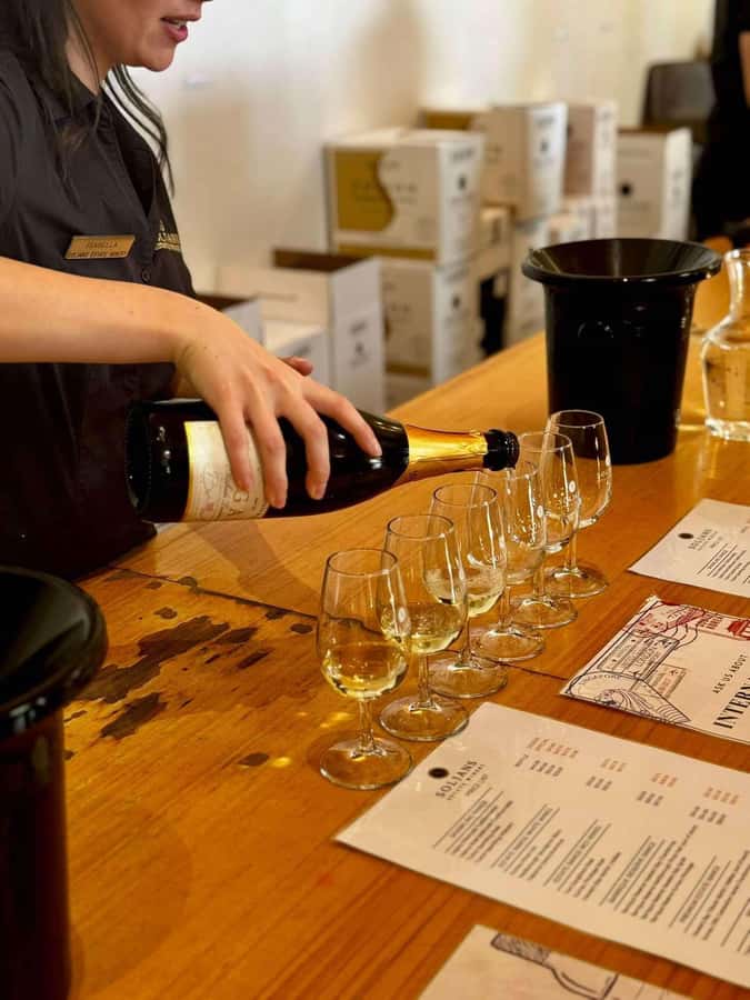 Auckland: Wine region tour with tastings and gourmet lunch - Harbour Bridge to West Auckland vineyards, built for tasting not rushing