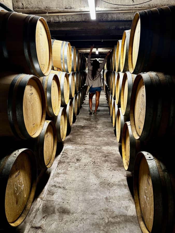 Auckland: Wine region tour with tastings and gourmet lunch - The boutique format and private group advantages